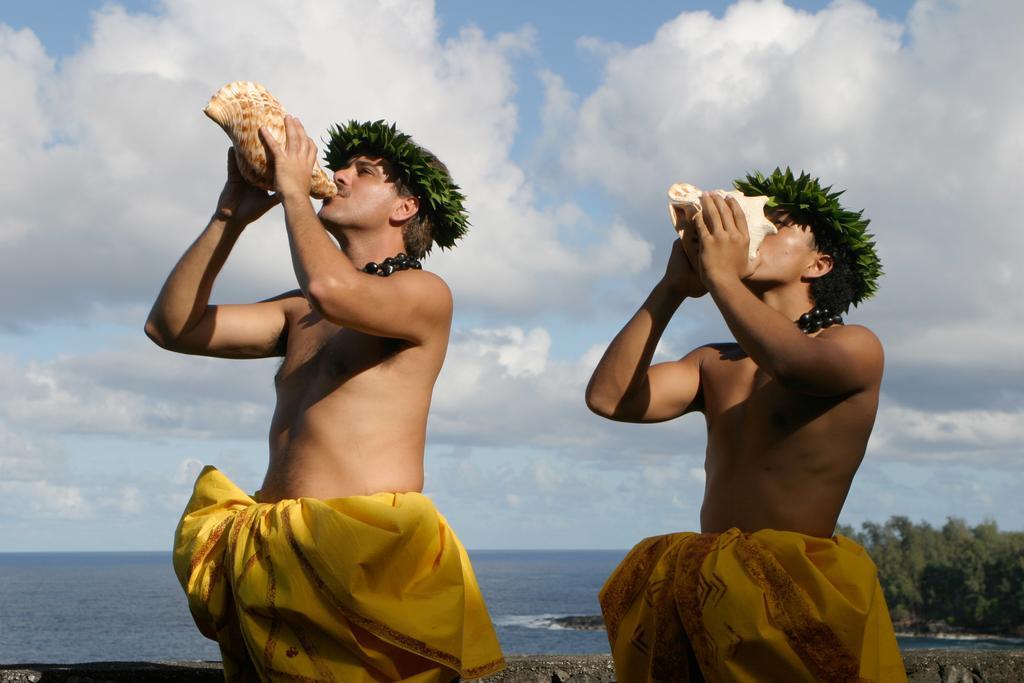 The Palms Cliff House Inn Honomu Esterno foto